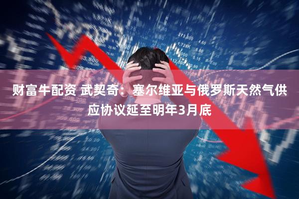 财富牛配资 武契奇：塞尔维亚与俄罗斯天然气供应协议延至明年3月底
