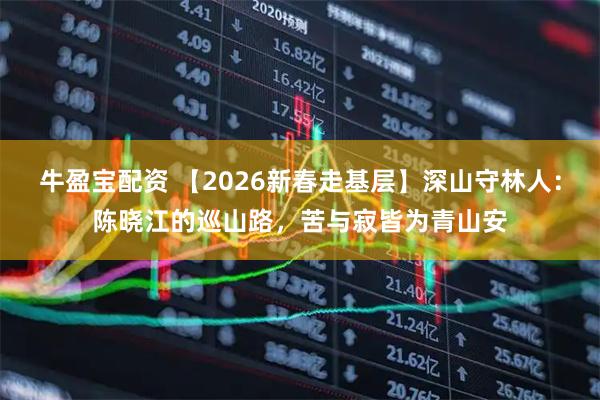 牛盈宝配资 【2026新春走基层】深山守林人：陈晓江的巡山路，苦与寂皆为青山安